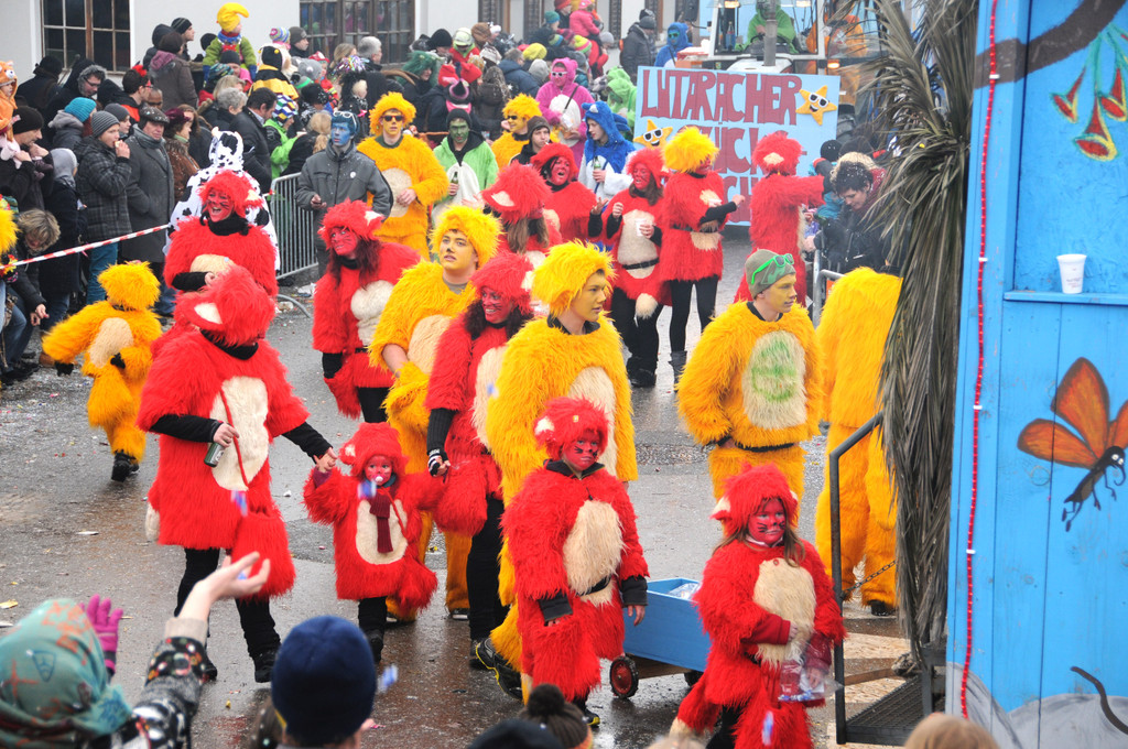 Fasching Fu__ach 20-01-2013 268_jpg-1358719176