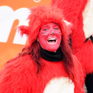 Fasching Fu__ach 20-01-2013 270_jpg-1358719181