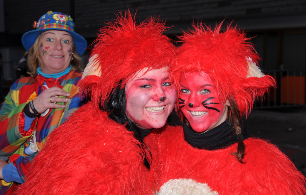 Fasching Fu__ach 20-01-2013 387_jpg-1358719487