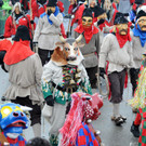 Fasching Fu__ach 2 20-01-2013 147_jpg-1358721483