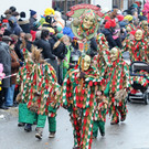 Fasching Fu__ach 2 20-01-2013 164_jpg-1358721531
