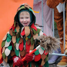 Fasching Fu__ach 2 20-01-2013 167_jpg-1358721543