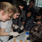 DSCN4269_JPG-1358727057