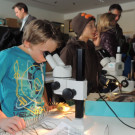 DSCN4282_JPG-1358727070