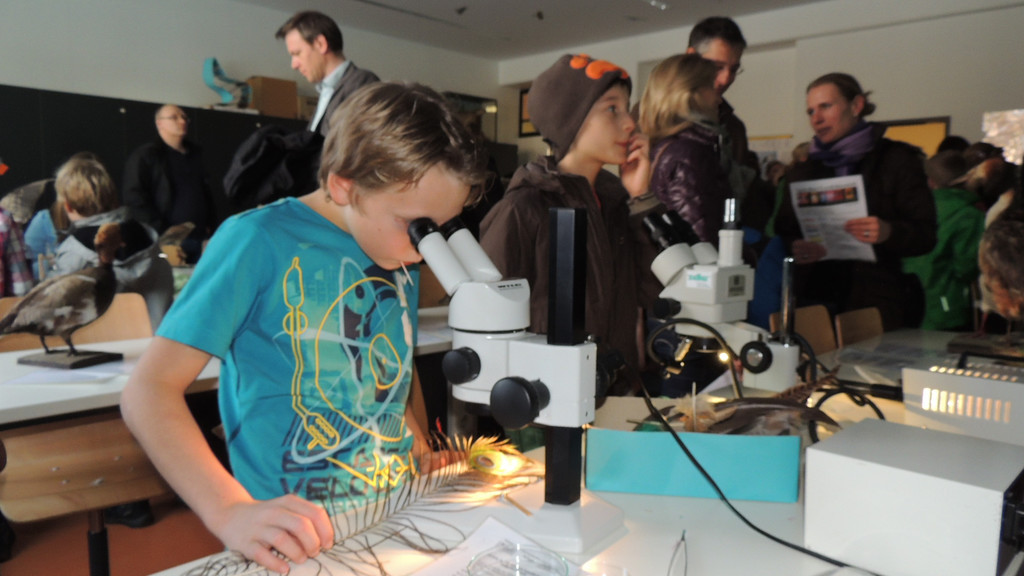 DSCN4282_JPG-1358727070