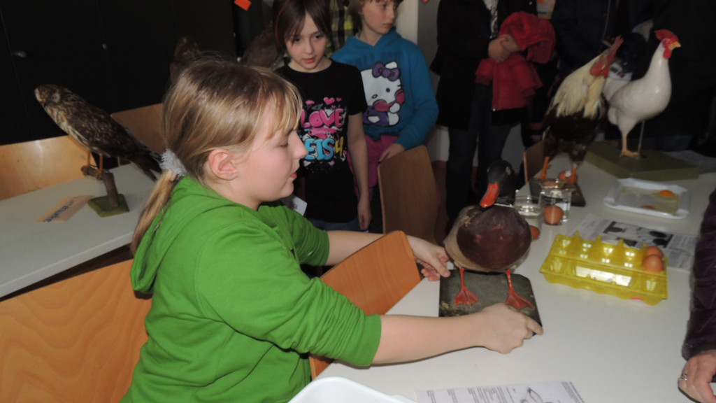 DSCN4287_JPG-1358727074