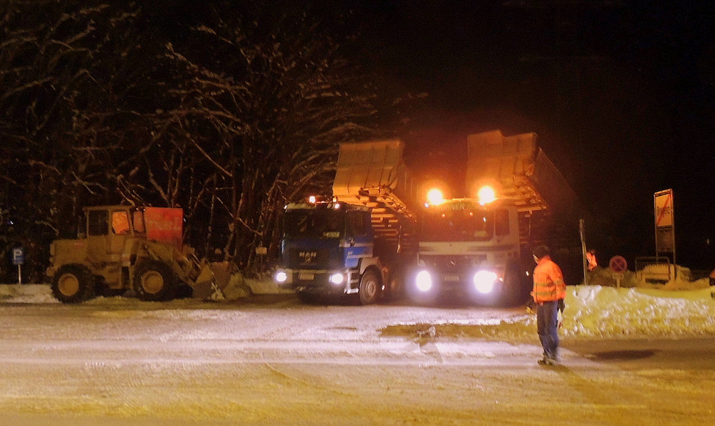 DSCN1729_JPG-1358729443