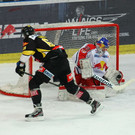 normal_20012013fmt_rbsvc_ta_003.JPG