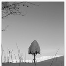 bwint130118  109_jpg-1358758280