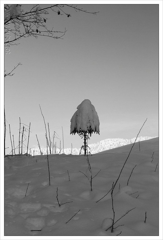 bwint130118  109_jpg-1358758280