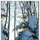 bwint130118  174_jpg-1358758308