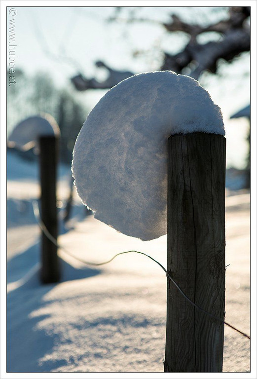 bwint130118  179_jpg-1358758309