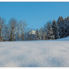 bwint130118  181_jpg-1358758311