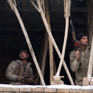 IBD0290-20130121.jpg