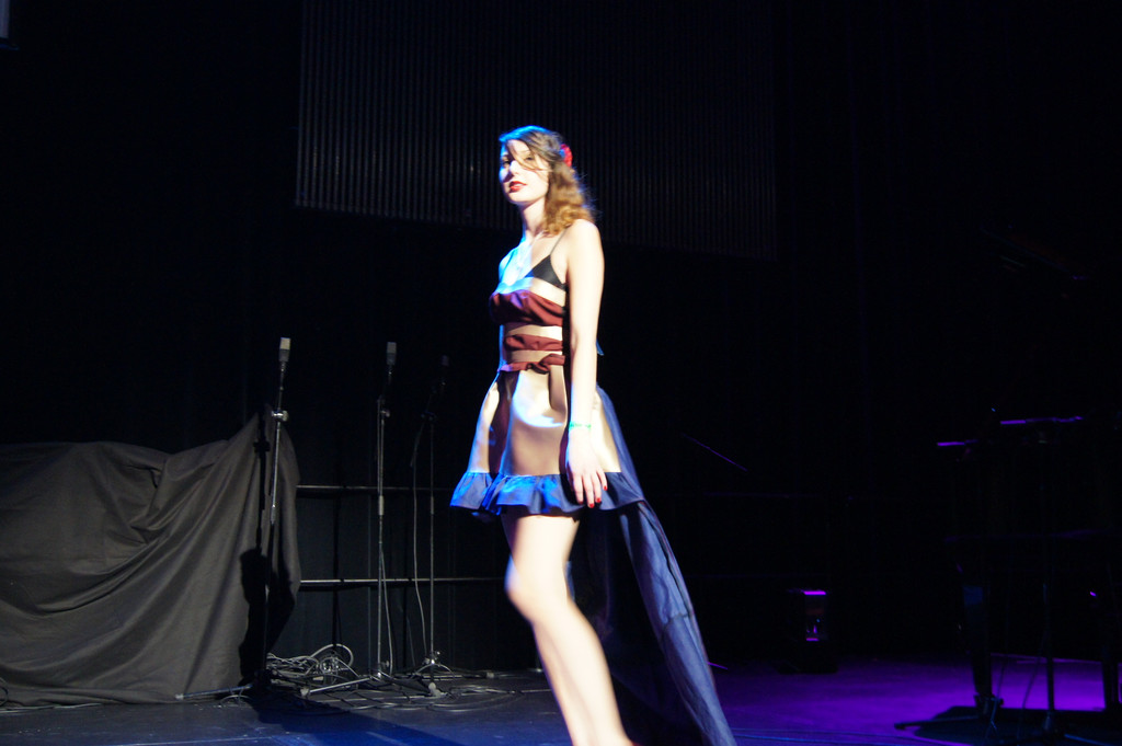 DSC04473_JPG-1358763175