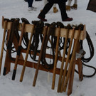 20012013walsaktivnewsde01005_155.JPG