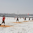 20012013walsaktivnewsde01005_003.JPG