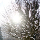 20012013winimpat02008aktivnews20.JPG