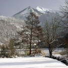 20012013winimpat02008aktivnews11.JPG