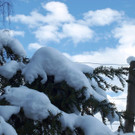 Salzburgs schönste Winterlandschaften II