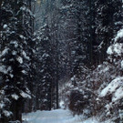 20012013winterzeitat02009aktivnews54.JPG