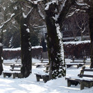 20012013winterzeitat02009aktivnews73.jpg