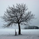 20012013winterzeitat02009aktivnews69.JPG