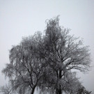 20012013winterzeitat02009aktivnews66.JPG