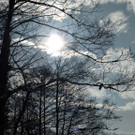 20012013winterzeitat02009aktivnews14.JPG