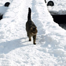 20012013winterzeitat02009aktivnews29.JPG