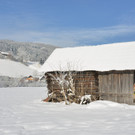20012013landschaft_im_schneeat02010aktivnews12.jpg