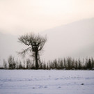 20012013landschaft_im_schneeat02010aktivnews04.JPG