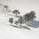 20012013landschaft_im_schneeat02010aktivnews01.jpg
