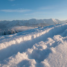 Gunten2_jpg-1358778267
