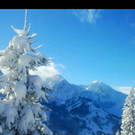 archi_tirol.jpg