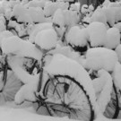 schnee_startfoto.jpg