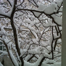 schnee_summ.jpg
