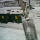 summ_schnee2.jpg