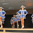 Zunftball H__chst 19-01-2013 6_jpg-1358790721