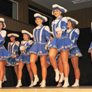 Zunftball H__chst 19-01-2013 8 _jpg-1358790740