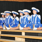 Zunftball H__chst 19-01-2013 17_jpg-1358790769