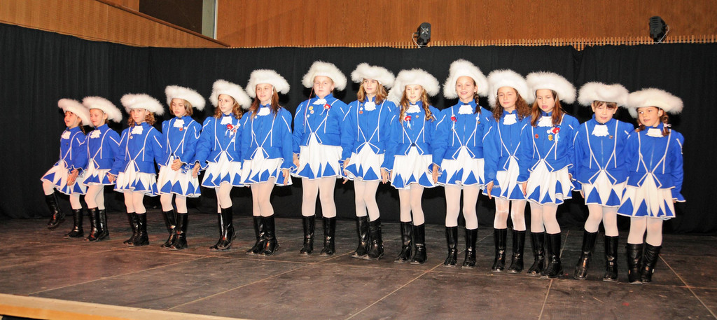 Zunftball H__chst 19-01-2013 39_jpg-1358790815