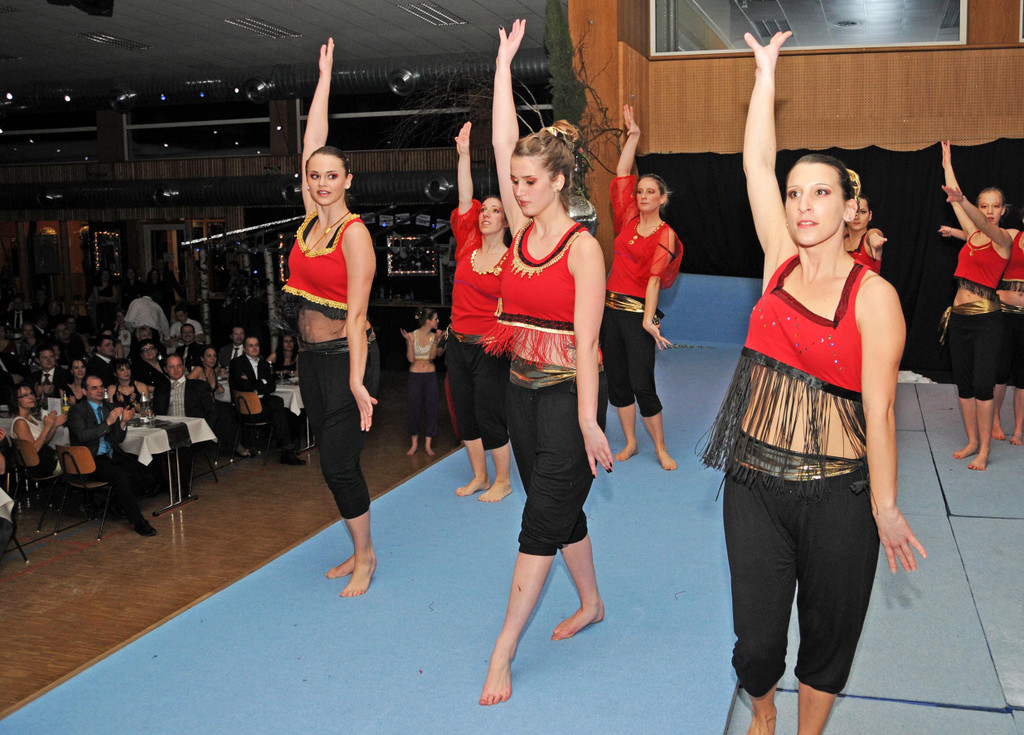 Zunftball H__chst 19-01-2013 89_jpg-1358790893