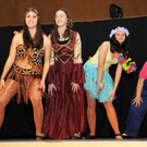 Zunftball H__chst 19-01-2013 120_jpg-1358790937
