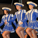 Zunftball H__chst 19-01-2013-2 6_jpg-1358791505