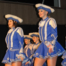Zunftball H__chst 19-01-2013-2 7_jpg-1358791509
