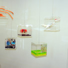 DSCN4068_JPG-1358804136