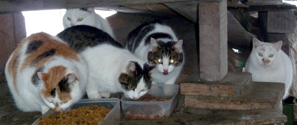 Foto2.jpg