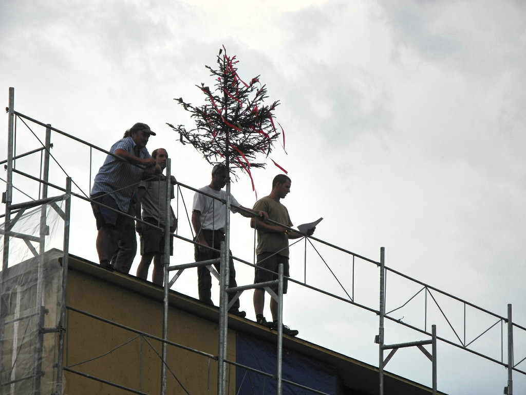 DSCN6390_JPG-1358847489