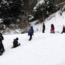 DSCN5541_JPG-1358890721